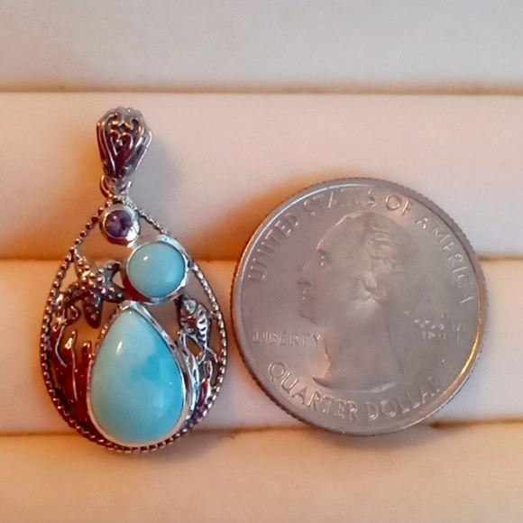 LARIMAR, CATALINA IOLITE SEALIFE PENDENT - Picture 5 of 8